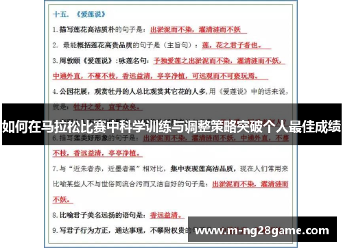 如何在马拉松比赛中科学训练与调整策略突破个人最佳成绩
